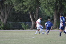 Enlarge photo 102
