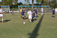 Enlarge photo 104
