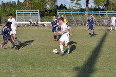 Enlarge photo 113