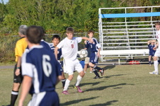 Enlarge photo 135