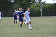 Enlarge photo 154