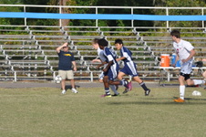 Enlarge photo 163