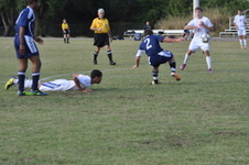 Enlarge photo 178