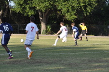 Enlarge photo 186