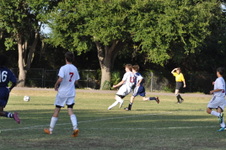 Enlarge photo 184