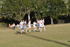 Enlarge photo 232