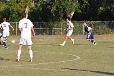 Enlarge photo 242