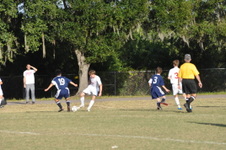 Enlarge photo 253