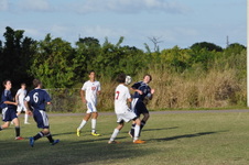 Enlarge photo 305