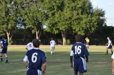 Enlarge photo 335