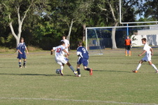 Enlarge photo 345