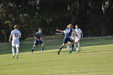 Enlarge photo 344