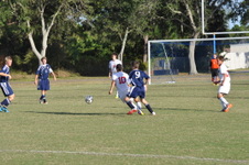 Enlarge photo 346