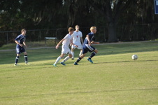 Enlarge photo 349