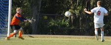 Enlarge photo 354