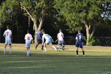 Enlarge photo 386
