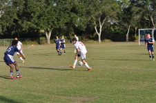 Enlarge photo 422