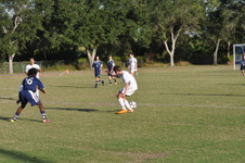 Enlarge photo 425