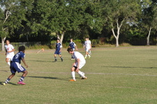 Enlarge photo 426