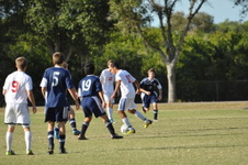 Enlarge photo 427