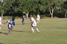 Enlarge photo 428
