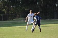 Enlarge photo 433