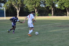 Enlarge photo 459