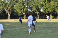 Enlarge photo 462