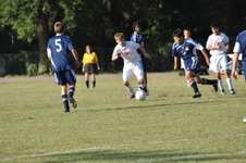Enlarge photo 471