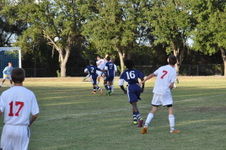 Enlarge photo 468