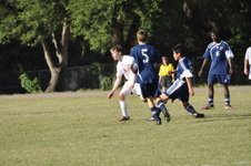 Enlarge photo 474