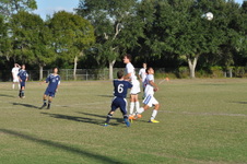 Enlarge photo 481