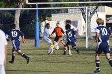 Enlarge photo 512