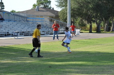 Enlarge photo 527