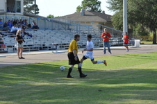Enlarge photo 529