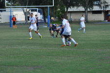 Enlarge photo 687