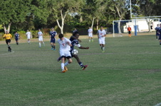 Enlarge photo 715