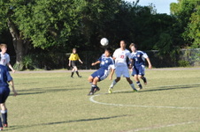 Enlarge photo 971