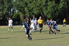 Enlarge photo 981
