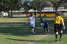 Enlarge photo 995