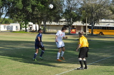 Enlarge photo 1176