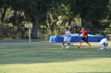 Enlarge photo 1225