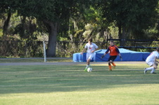 Enlarge photo 1228