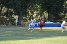 Enlarge photo 1231