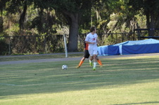 Enlarge photo 1233