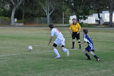 Enlarge photo 1458