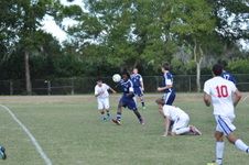 Enlarge photo 1584
