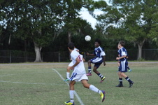 Enlarge photo 1596