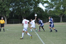 Enlarge photo 1599