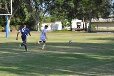 Enlarge photo 1651
